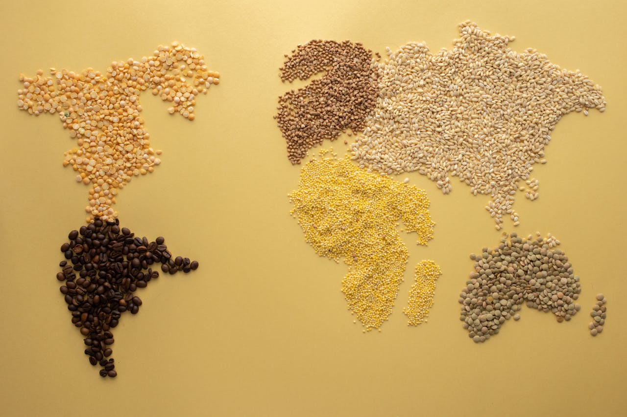 A World Map Made of Grains and Beans